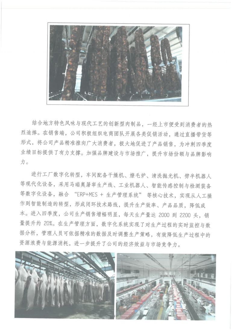 图片 (11)